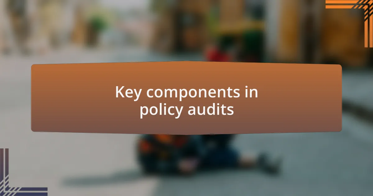 Key components in policy audits