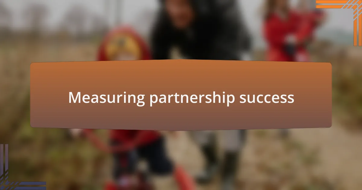 Measuring partnership success