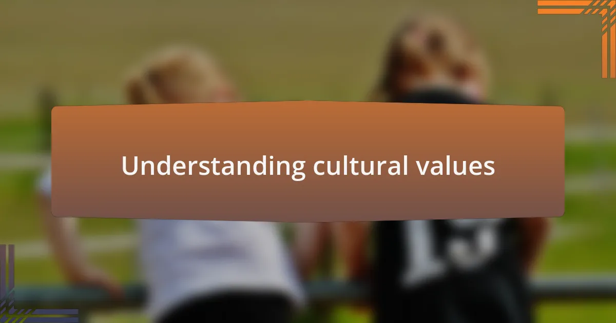 Understanding cultural values