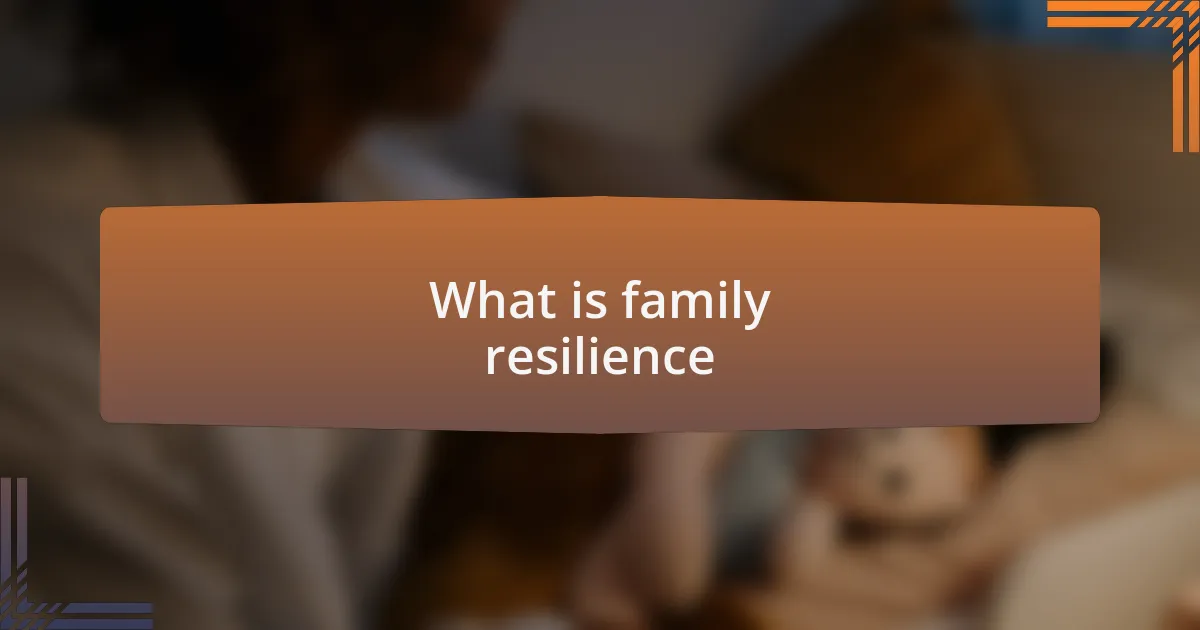 What is family resilience